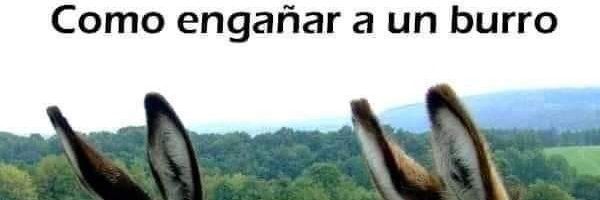 Yo 💓💓💓💓 banner