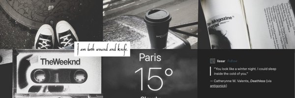 xinsoo0 Profile Banner