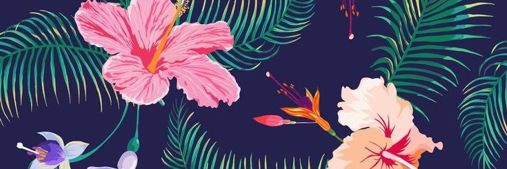 kiwi87733's profile banner image