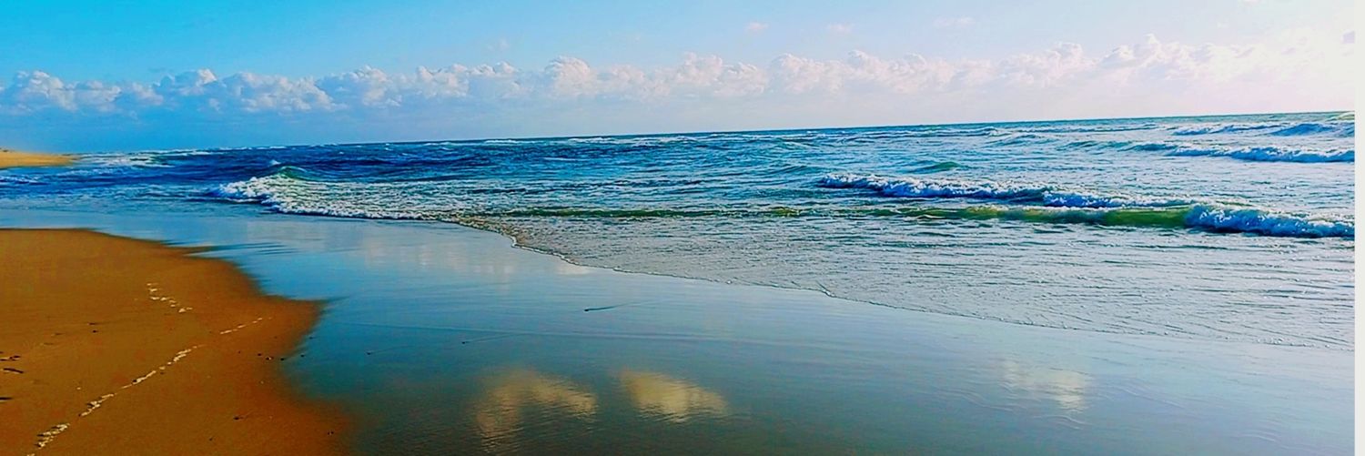 Cyrille Darrigade banner