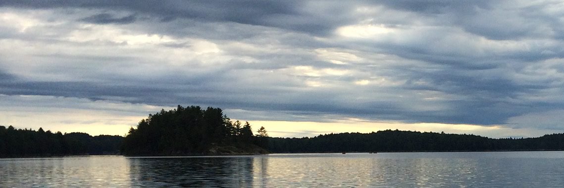 Brian Leichnitz banner