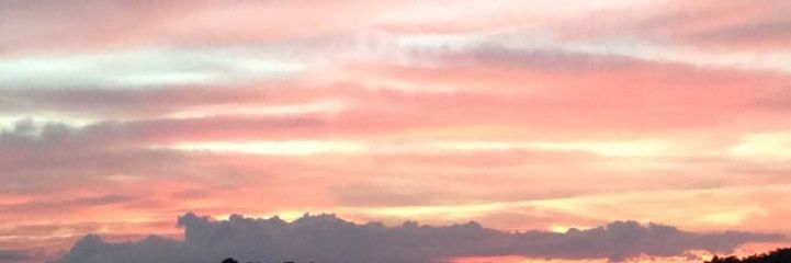 ofmicesirens's profile banner image