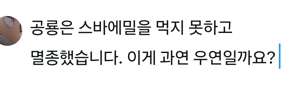 딩기딩 banner