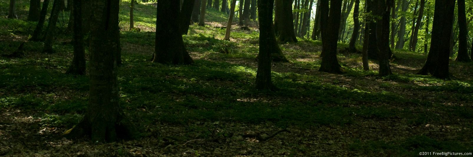unosandera's profile banner image