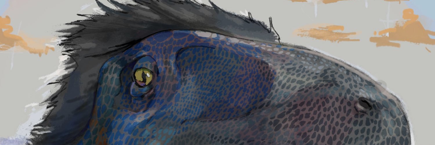 Maip1114's profile banner image