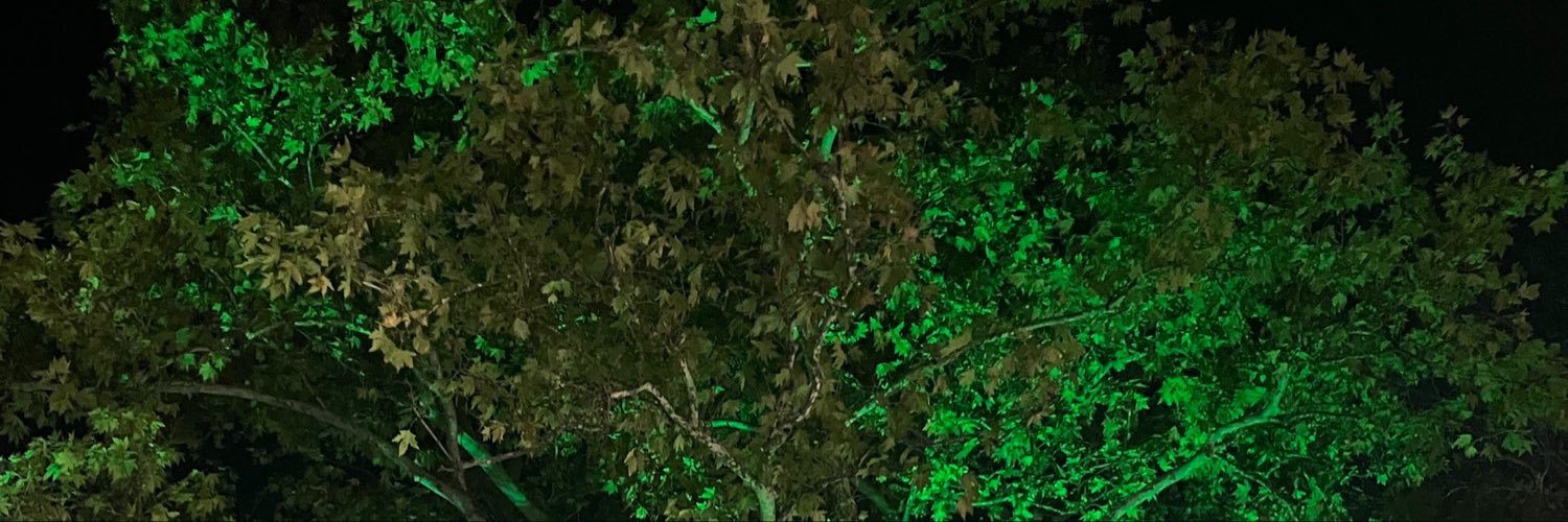 izmralii's profile banner image