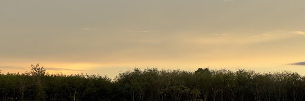 Pplakwong2 Profile Banner