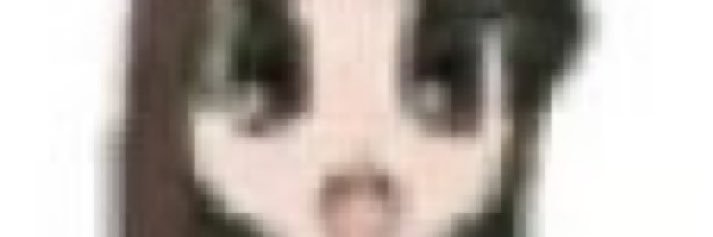 S890 banner