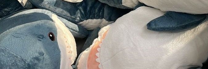 midsharknado's profile banner image
