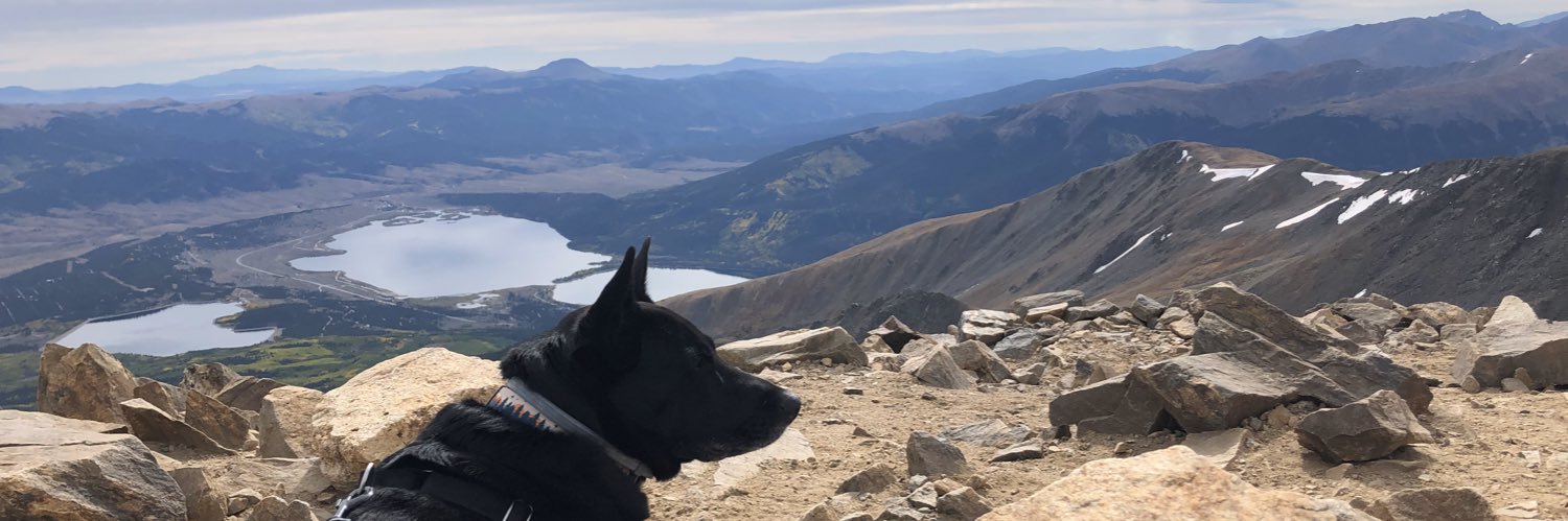 Andrew VanLandingham banner