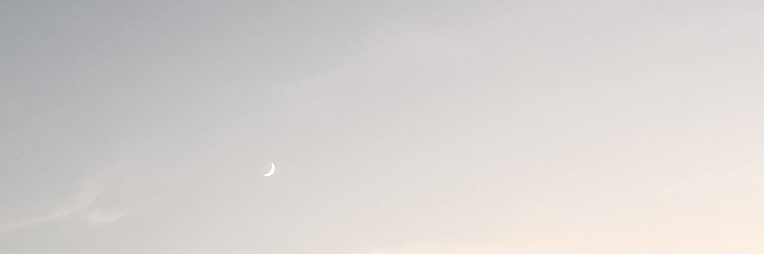望月 banner