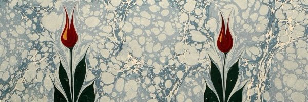 Rumi_Quote Profile Banner