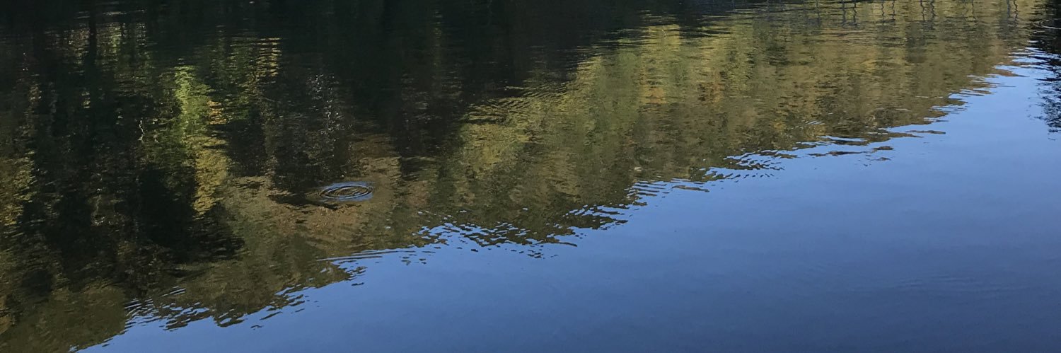 RealSecretLady's profile banner image