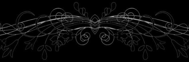 evdvot's profile banner image