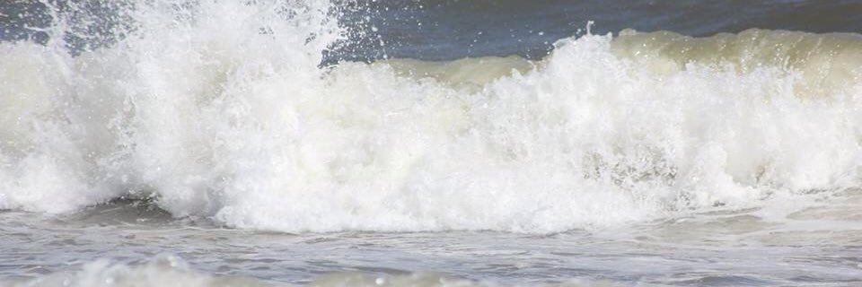 Leyva529jG's profile banner image