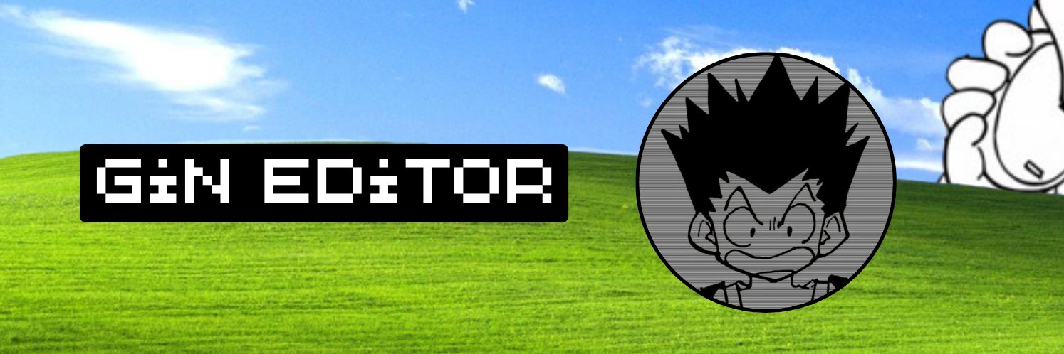 Gin | Video Editor banner