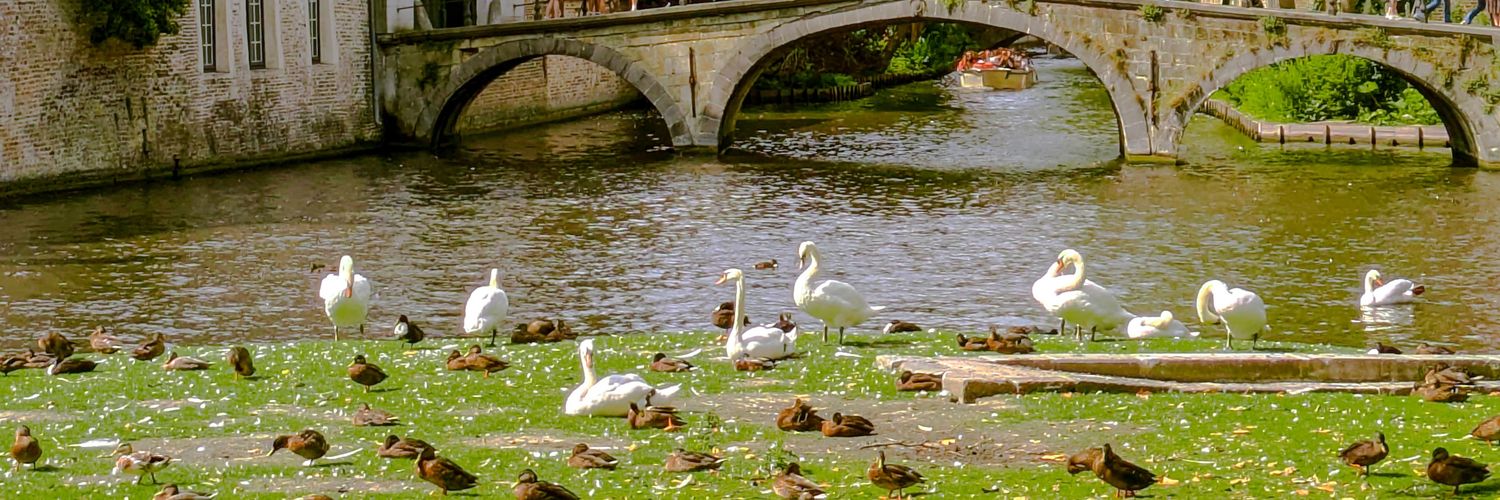 L's visual diary banner