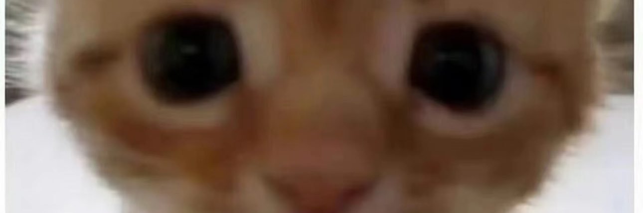你是我最恨的世界里最爱的人 banner