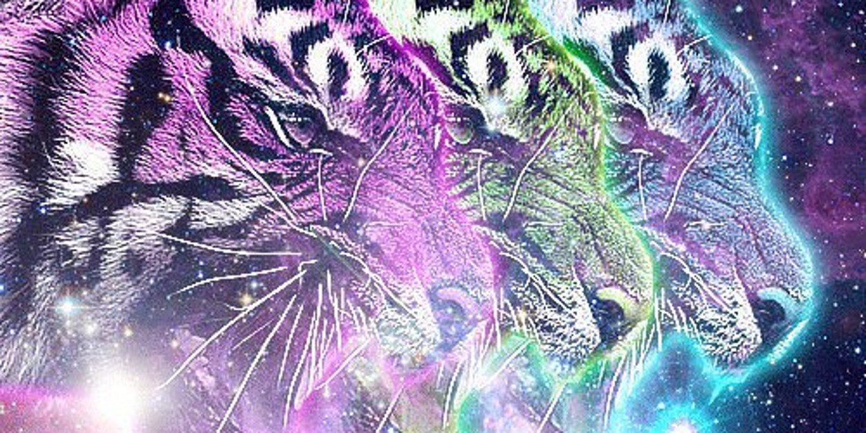 shaundotorg's profile banner image