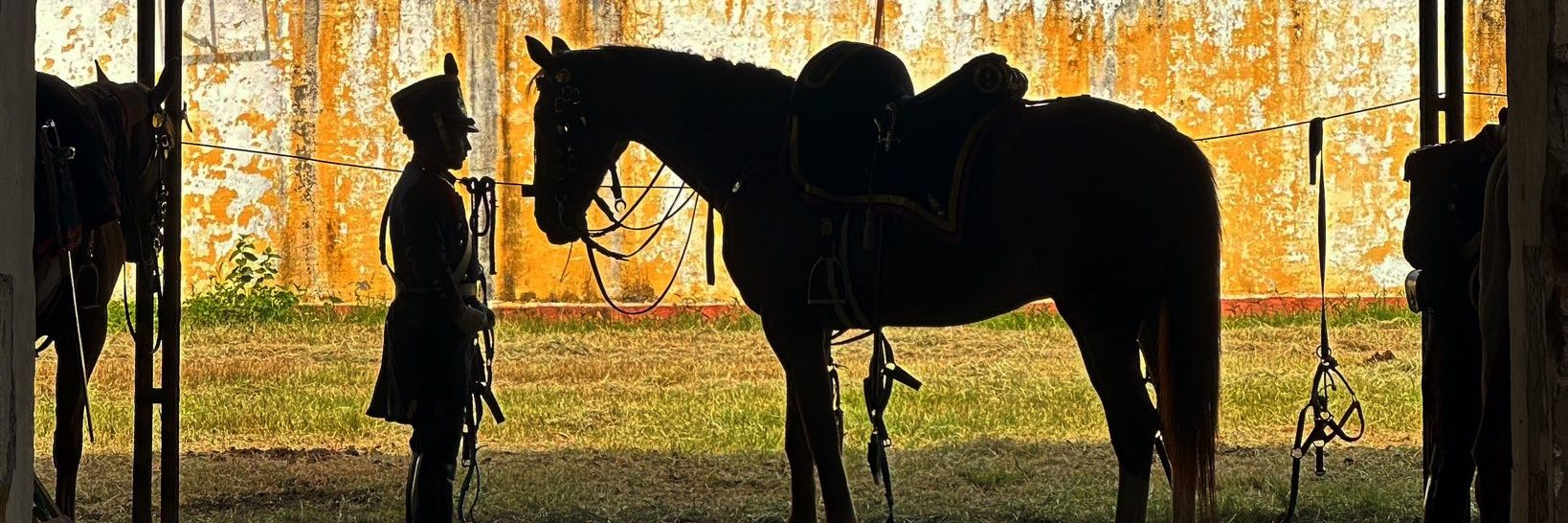 bettyboot1708's profile banner image