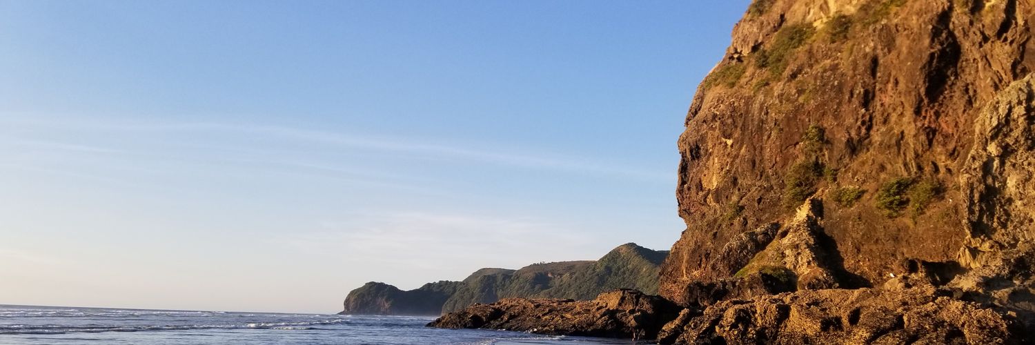 NelikIsntReal's profile banner image
