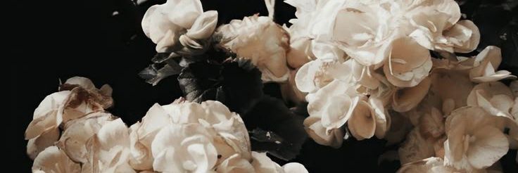 ttao0yn's profile banner image
