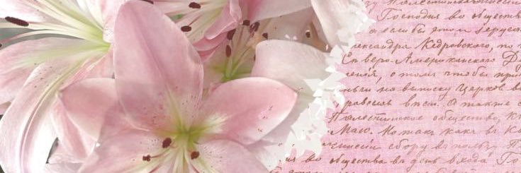 𐔌 🌸 ྀིྀ ˖ ࣪ ki !!'s banner