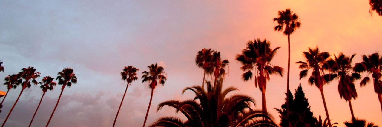 maddidoches's profile banner image