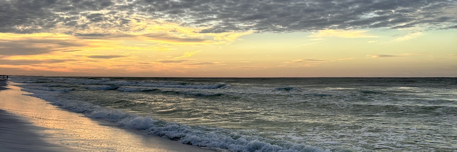 ✨🔥FIREFLY🔥✨ banner