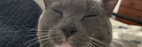 MsLaynieK Profile Banner