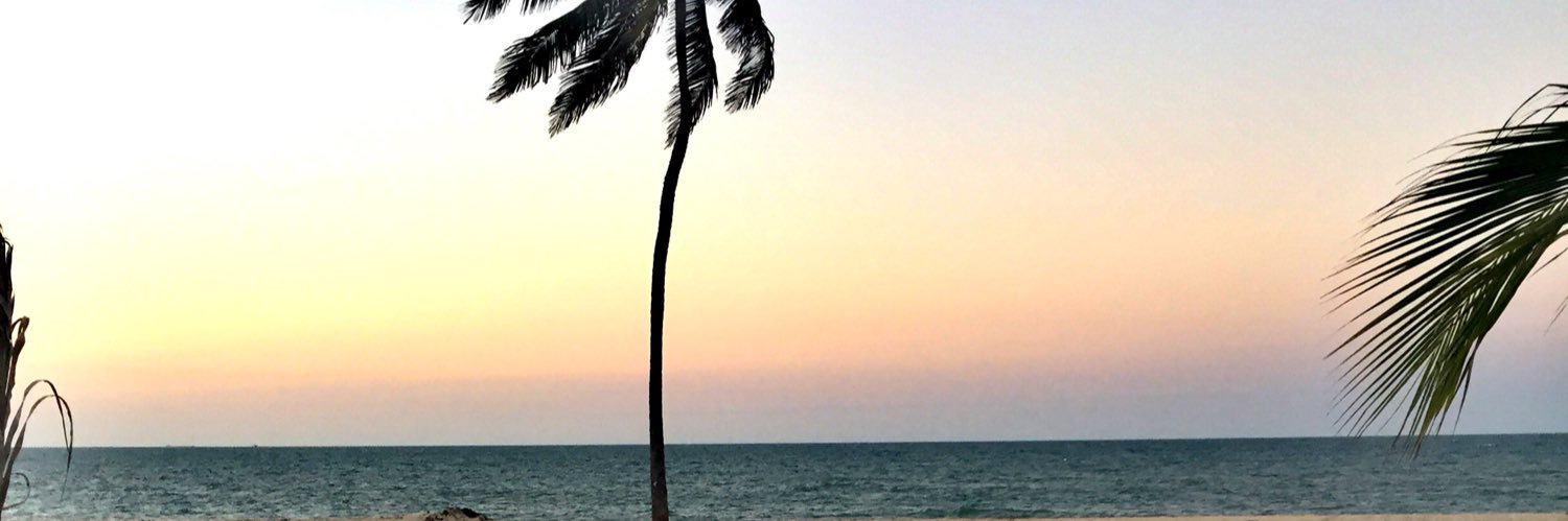 dri_mo's profile banner image