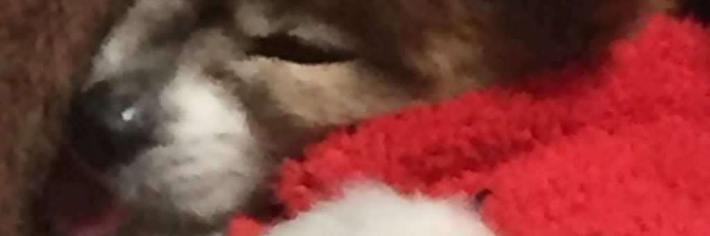 り banner