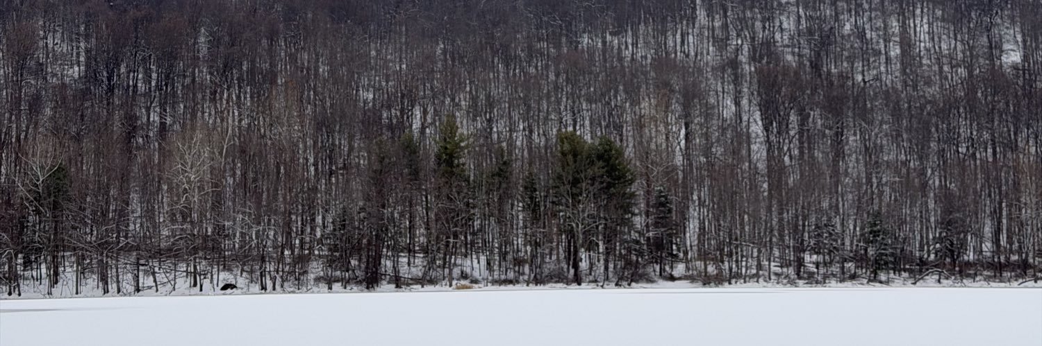 leon_son's profile banner image