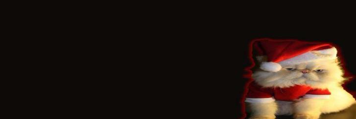 Twitter banner for @ficues