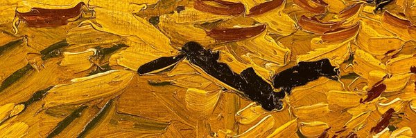 BanachReflexive Profile Banner
