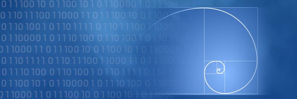 System Solutions Inc banner