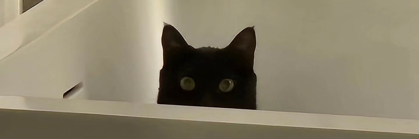 deeannee_'s profile banner image