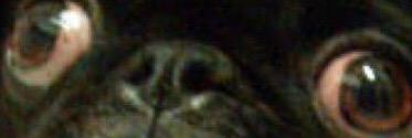 _cstt's profile banner image