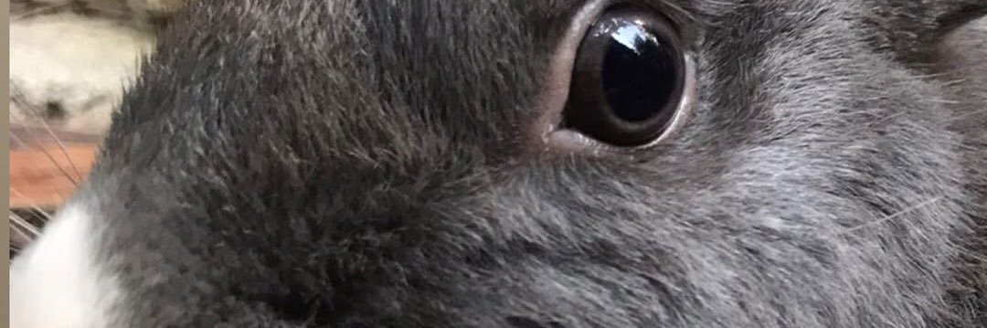 machuca____'s profile banner image