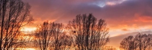 Chandelpiyush55's profile banner image