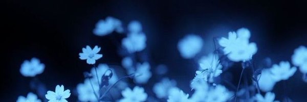 molotov_muv Profile Banner