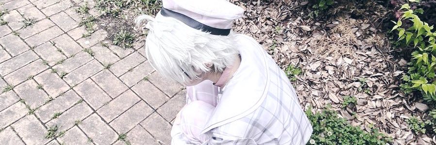シャピピ banner