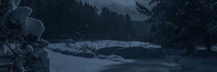 Ellie ❄️'s banner