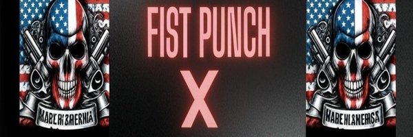 FistPunchX Profile Banner