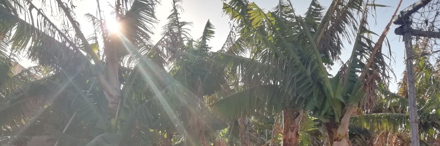 a_grepi's profile banner image