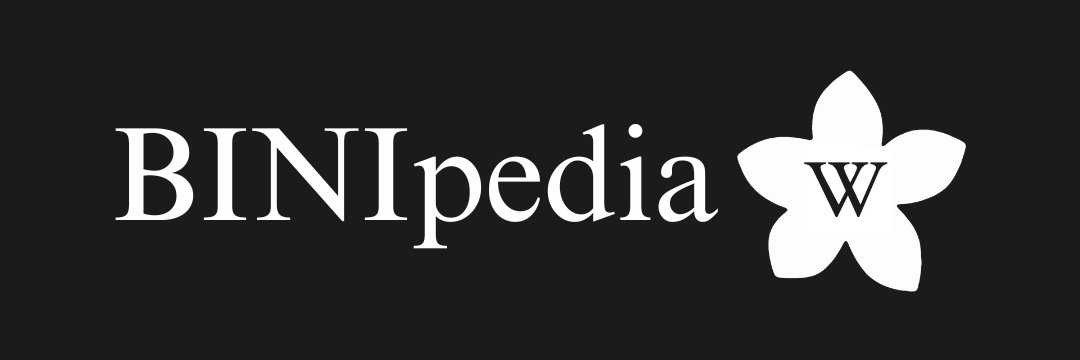 BINIpedia banner