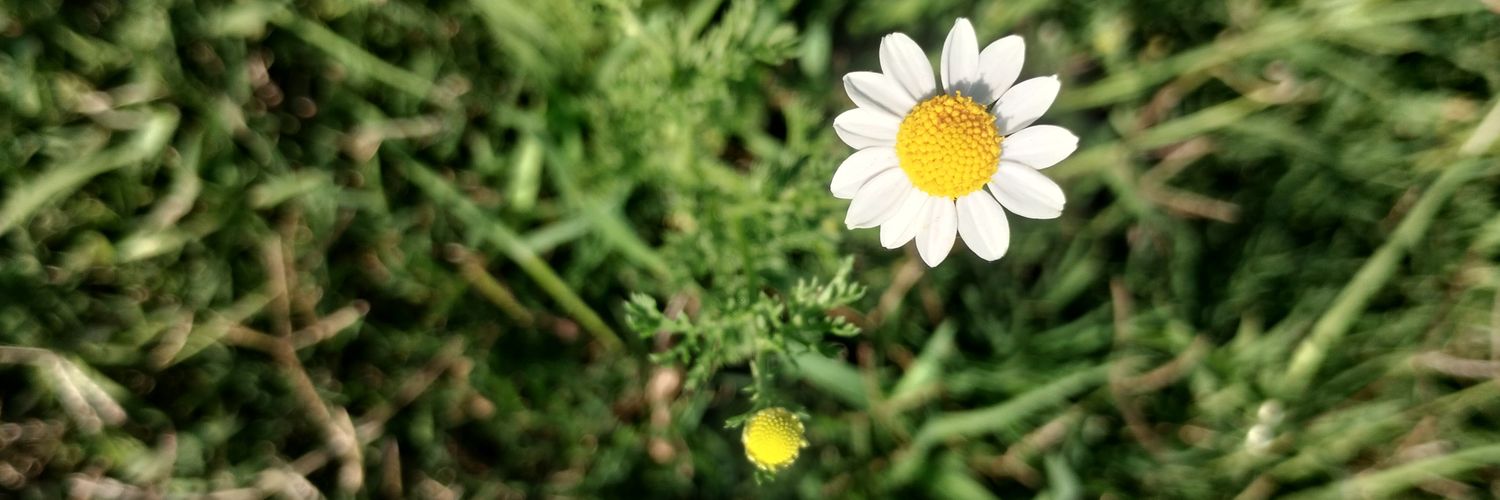meligonzalezz's profile banner image