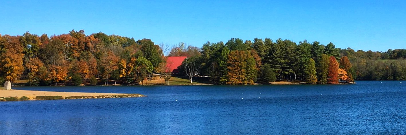 Sara Wells ✌🏼 banner