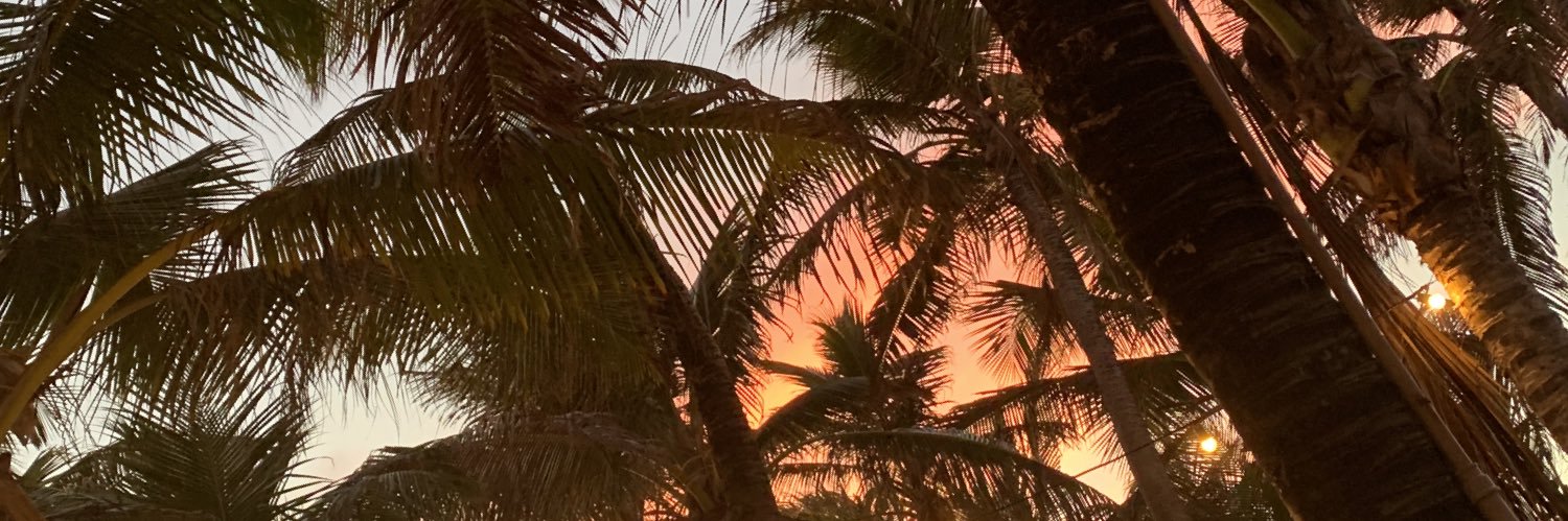 Ernando_Junior's profile banner image