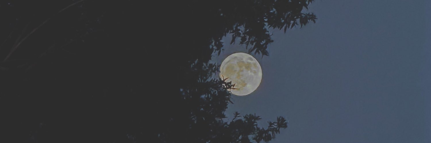 agustittaa's profile banner image